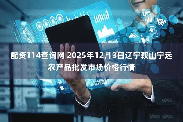 配资114查询网 2025年12月3日辽宁鞍山宁远农产品批发市场价格行情