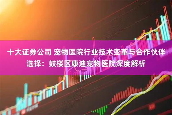 十大证券公司 宠物医院行业技术变革与合作伙伴选择：鼓楼区康迪宠物医院深度解析